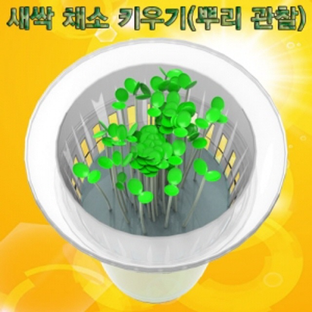 새싹 채소 키우기(뿌리 관찰)-5인용-LUG